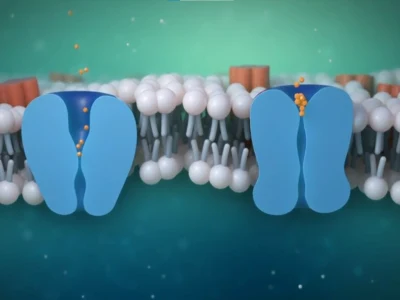 3D Medical Procedure animation