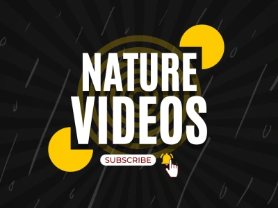 20 Unique Black Screen Nature Sound Videos (Relaxing/Meditation)