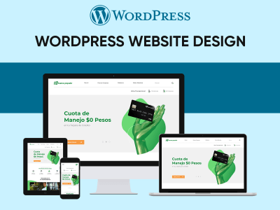 Expert WordPress portfolio business websites design, blogs