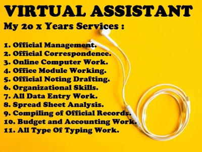 A fantastic Virtual Assistant