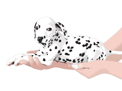 A fantastic dog, cat, pet portrait in vector art illustration
