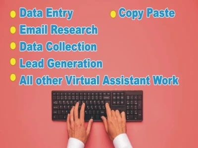 Data entery, data scraping, data mining, web research for your business.