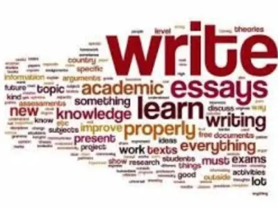 Well-written legal essays and reports