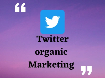 Fast organic Twitter followers