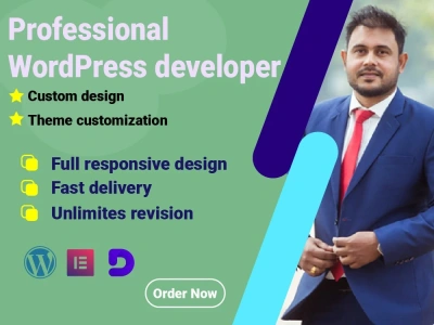 WordPress developer expert, WordPress designer, web developer and ...