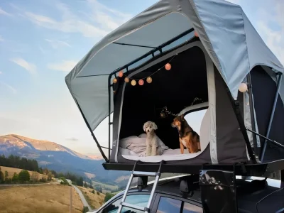 Take pictures of your dog, outdoor or camping brands