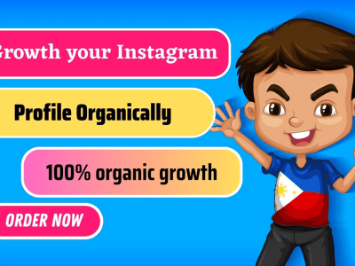 I will do Instagram promotion organic growth for super fast