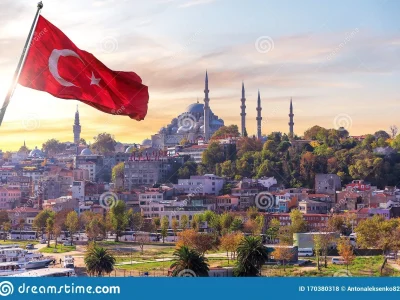 Any help related to turkey and the turkish language
