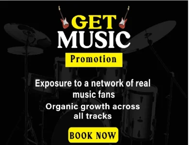 Music Promotion Campaign Setup & Organic Marketing Support