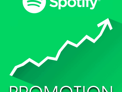 A Full Organic Spotify Promotion