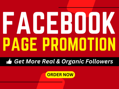 Organic Promotion Of Your Facebook Page and Increase Followers