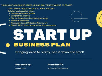 A professionally written and investor-ready business plan for your startup.