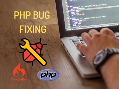 Bugs fixing in Core PHP or CodeIgniter Websites