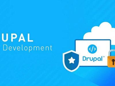 Develop, Customize, Update and Maintain Drupal 7, 8, 9, 10 websites.