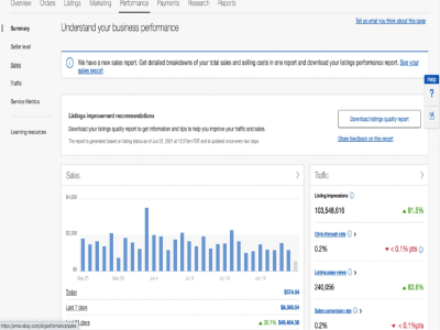 EBay expert and ecommercence