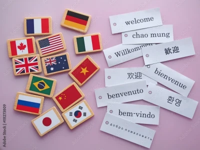 48-Hour High-Quality English to Japanese Translation