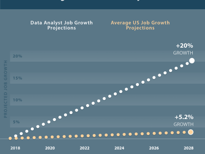 A data analysis expert in different statistical software.