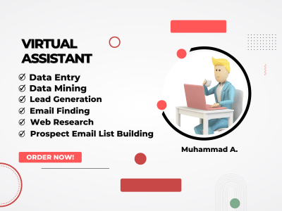 Professional Virtual Assistant, Administrative Support Services