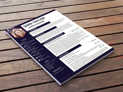 I will provide professional resume writing