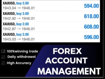 Your forex account management forex account manager forex trading