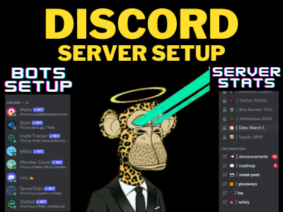 A custom nft discord server within 48 hours