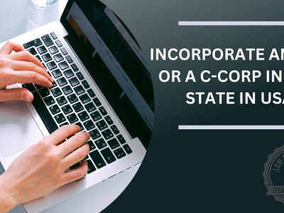An LLC/c corp in the United States.