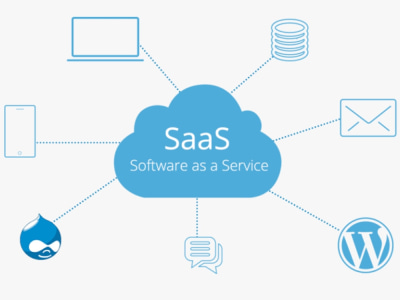 Customised and Meticulously Drafted Comprehensive Saas Agreement.