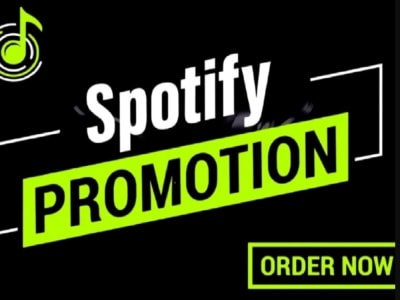 Your music created and run Spotify ads for the promotion.