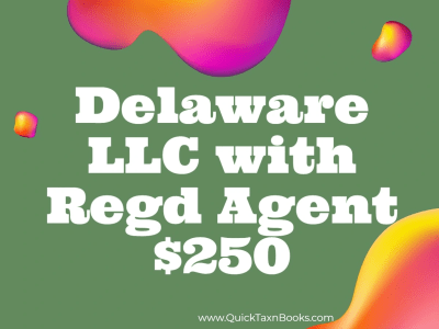 Delaware Wyoming New york California LLC for $250 with 1 year Regd Agent