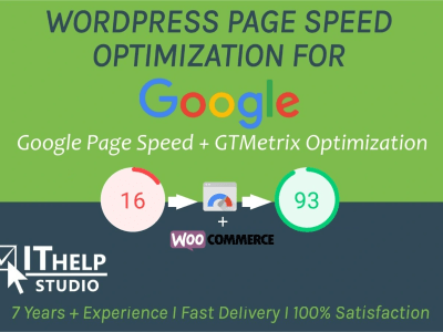 WordPress Page Speed Optimization & Google PageSpeed Insights ...