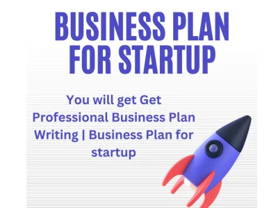 Professional Business Plan for Startup and Business Plan Writing