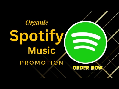 Organic Spotify music promotion