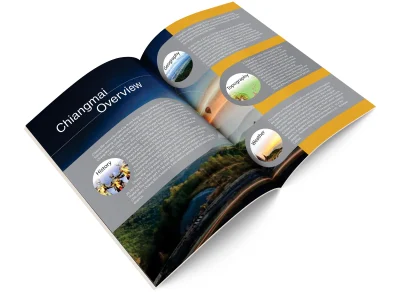 An eye catching Brochure/Booklet/Newsletter