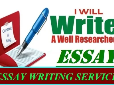 A well researched and fact checked essay