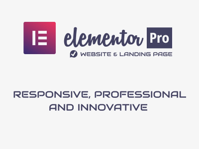 Professional Responsive WordPress website using Elementor Pro | Upwork