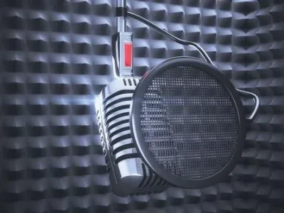 The voice you want for your commercial/tv/animation project.