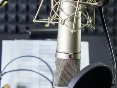 An engaging professional voiceover (up to 2 minutes)