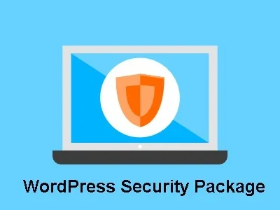 Your WordPress Website Cleaned and Secured