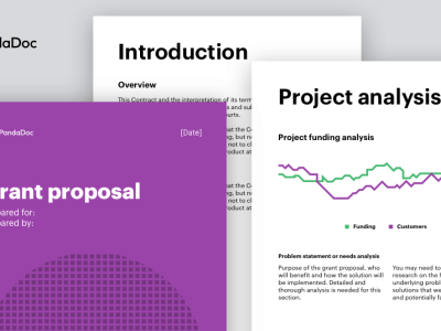 A highly professional and competitive grant or contract proposal