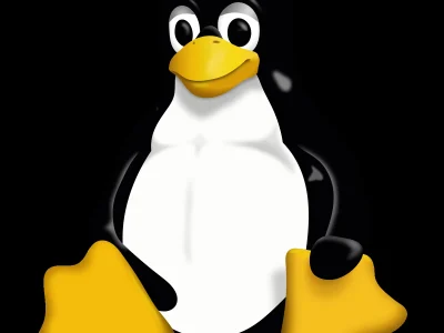 A linux server for your website
