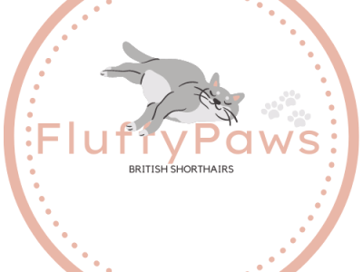 Fabulous logo or brand design