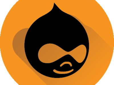 Drupal core and contributed modules updated for your website.