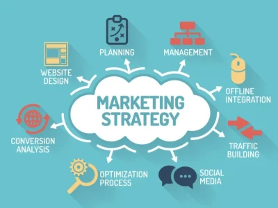 You will get a detailed content of the Company Marketing Strategy