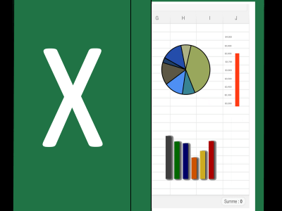Excellent data entries of 1000 googlesheets or excel rows