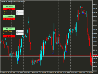 A well-coded MetaTrader4/5 Expert Advisor / Indicator by your specification