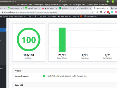 Full on-page SEO for your WordPress site
