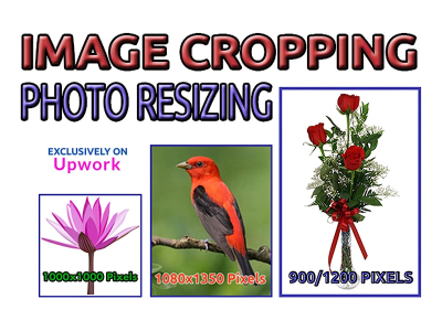 Resizing, Cropping images, bulk photo resize