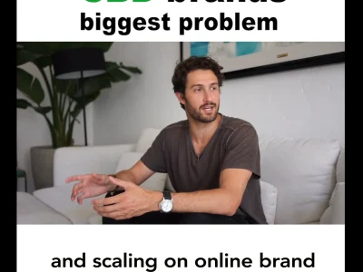 Professional synced subtitles or captions to your video