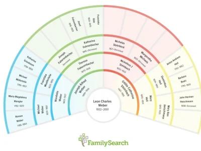 A great start on your family tree.