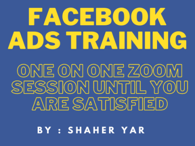 Consultation on how to run profitable Facebook ads